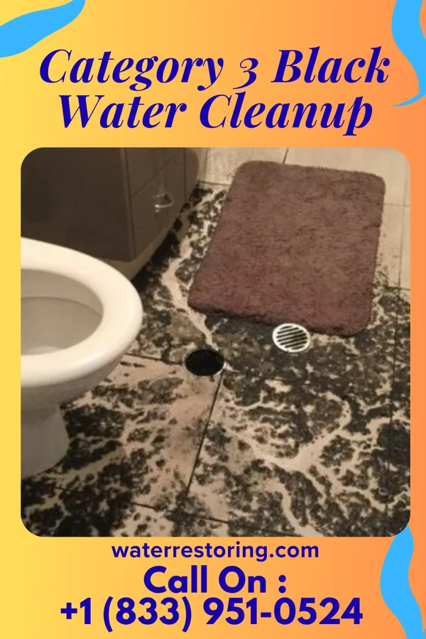 Category 3 Black Water Cleanup in Rensselaer, IN