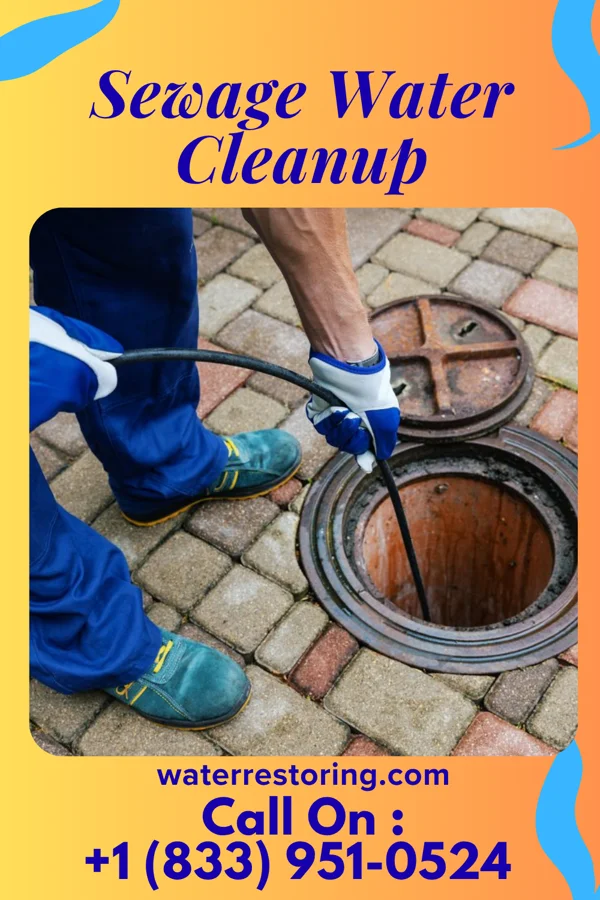 Sewage Water Cleanup in Rensselaer, IN