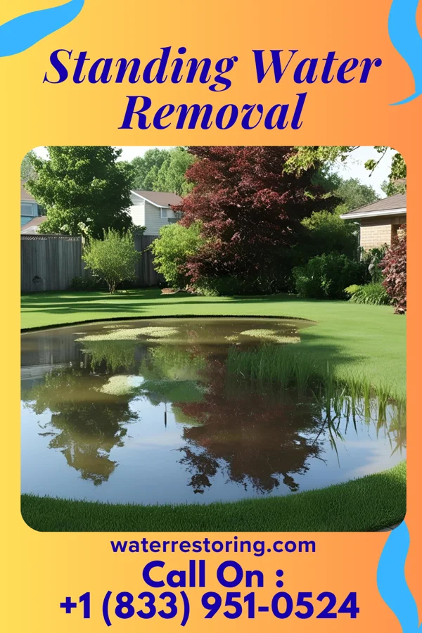 Standing Water Removal in Rensselaer, IN